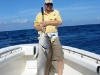 Scott Hunter Amberjack - Offshore Port Mansfield, Texas